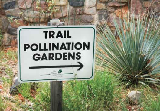How to Create a Plant Pollinator Habitat in the Era of Climate Uncertainty